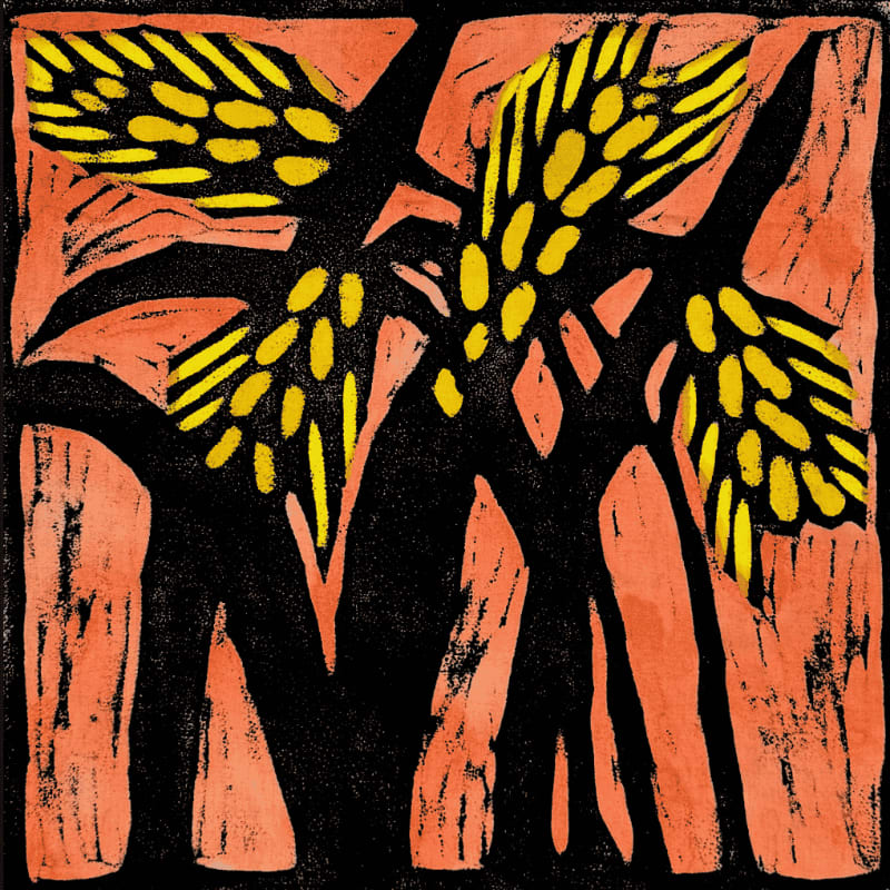 Bright yellow pine needles are silhouetted against a textured orange and black background.