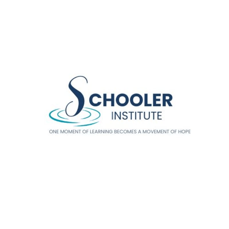 A logo with the words "SCHOOLER INSTITUTE" in dark blue text, with a stylized "S" and rippling water in the foreground, is set against a plain white background.