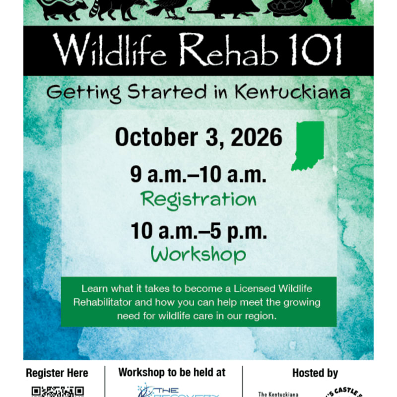 A green watercolor background with black silhouettes of animals at the top frames text announcing a "Wildlife Rehab 101" workshop on October 3, 2026, in Kentuckiana, with registration and workshop details below.