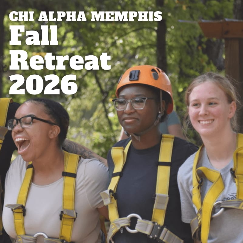 Three young women in safety harnesses and helmets smile and laugh in the foreground, with a blurred green forest in the background.