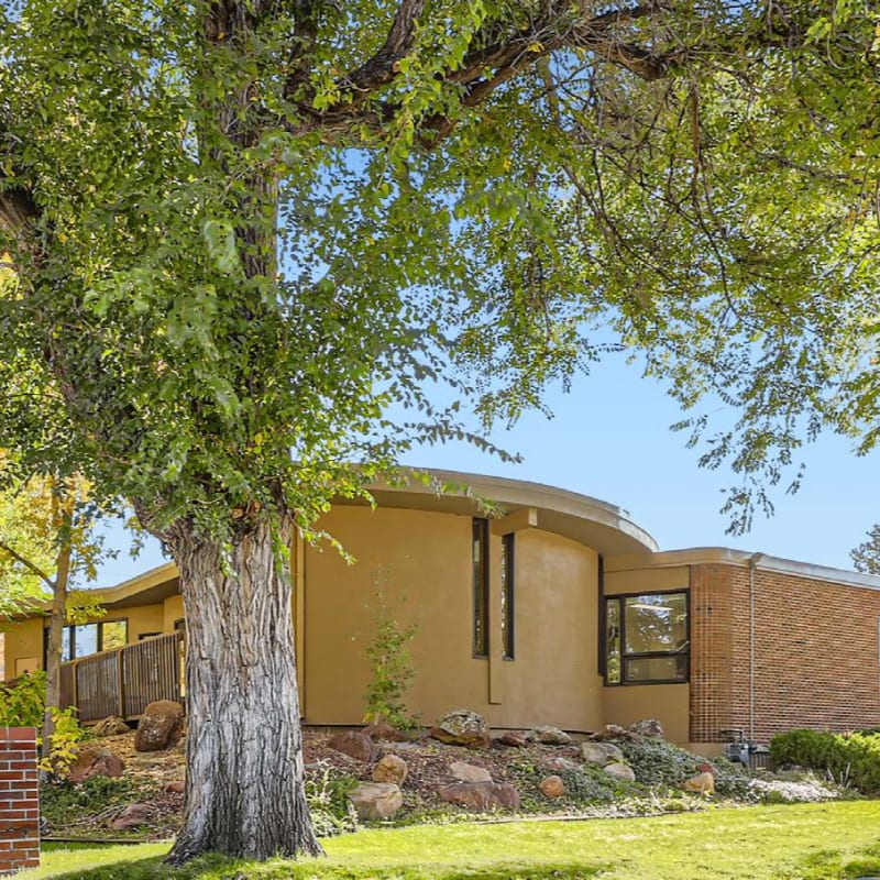 A large, leafy tree in the foreground partially obscures a modern, curved house with a tan stucco and brick exterior set against a clear blue sky.