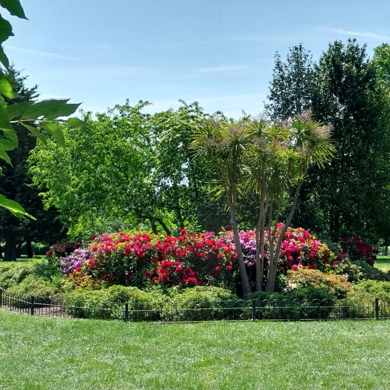 A vibrant flower bed with red and pink blooms is surrounded by lush green bushes in the foreground, while a clear blue sky and tall trees form the background.