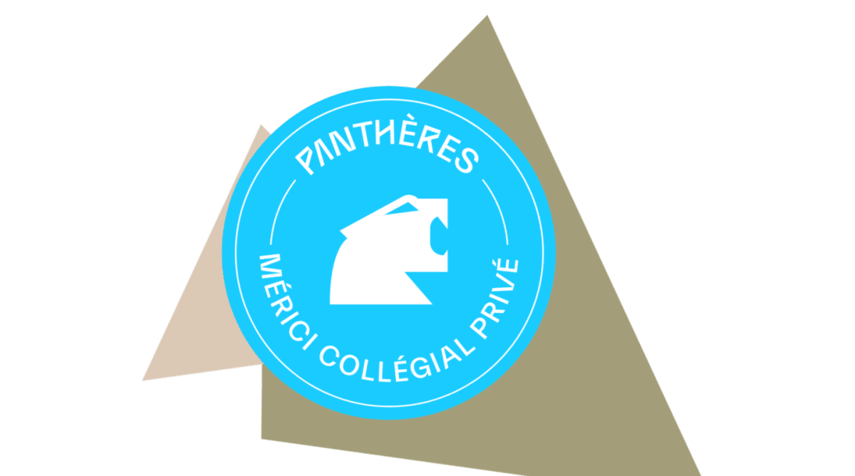 A blue circular logo with a white panther silhouette and text is superimposed on a background of overlapping beige and grey triangles.