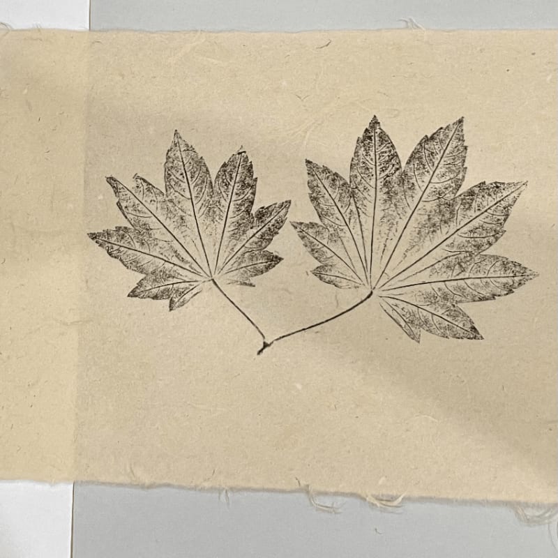 Two dark, detailed maple leaf prints are centered on a textured, light-colored paper background.