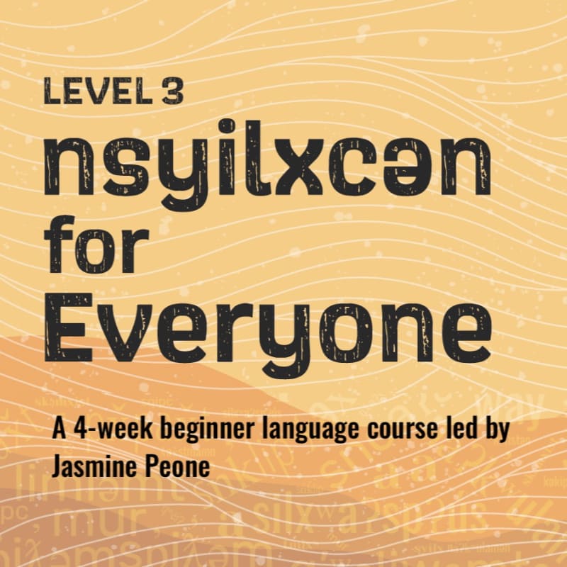 Bold black text announcing "LEVEL 3 nsyilxən for Everyone" and course details is overlaid on a textured, warm yellow background with subtle wavy lines.
