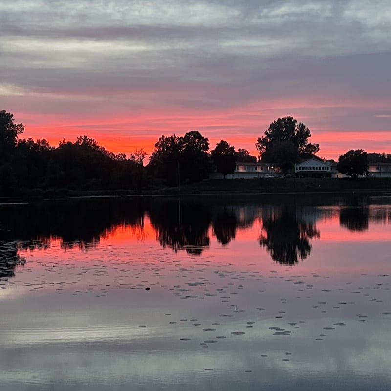 A vibrant pink and orange sunset reflects on a calm lake in the foreground, with silhouetted trees and buildings lining the distant shore in the background.