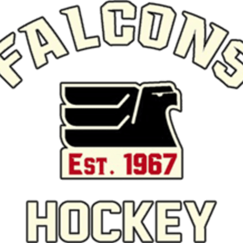 A black falcon logo with "Est. 1967" in red is centered on a white background, with "FALCONS" arched above and "HOCKEY" below in cream-colored block letters.