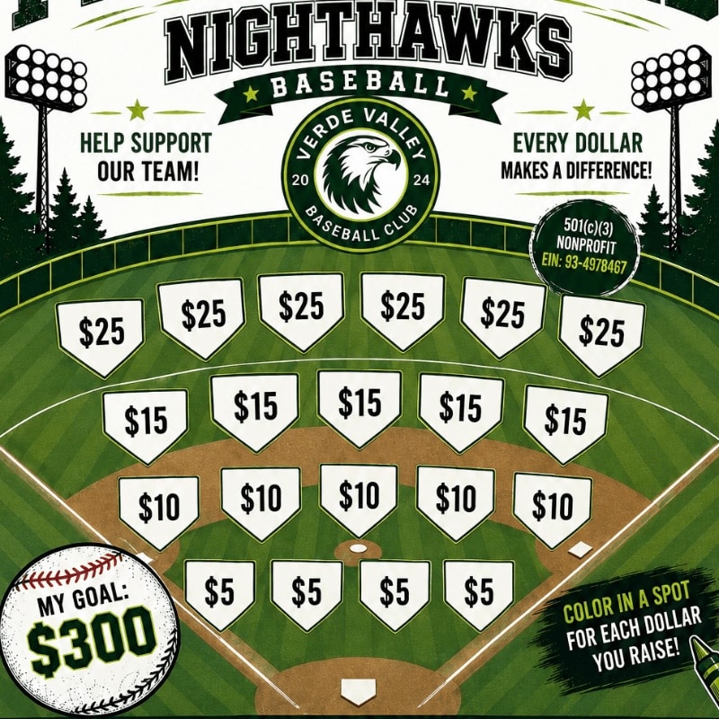 A baseball field with scratch-off spots for donations is in the foreground, while a Nighthawks Baseball logo and stadium lights are in the background.