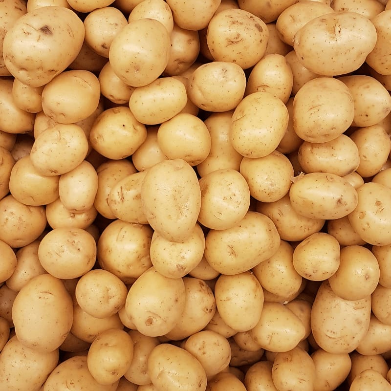 yellow round fruits on white surface
