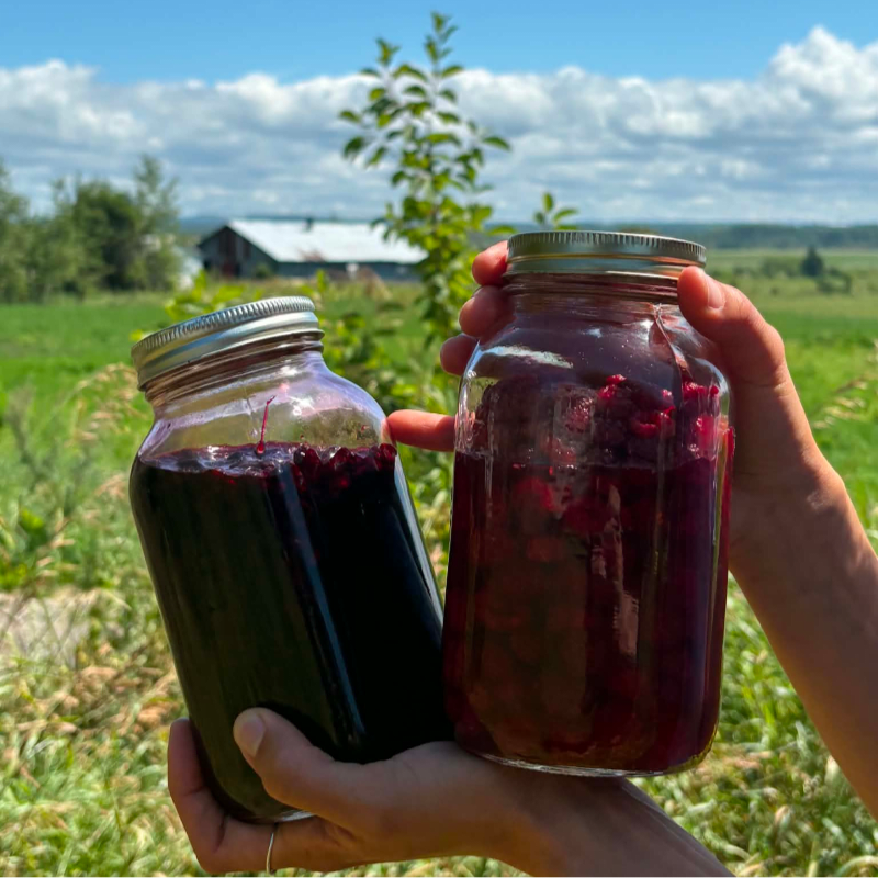 Two hands hold up jars of dark liquid and berries against a backdrop of a green field, a distant barn, and a blue sky with clouds.