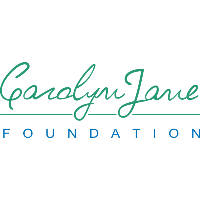 A blue circle encloses the green cursive letters "CJ" in the foreground, with the word "FOUNDATION" written in blue text around the top of the circle in the background.