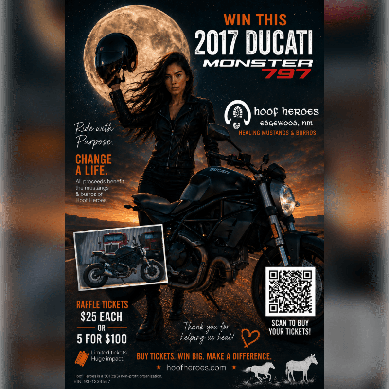 A woman in a leather jacket stands next to a Ducati motorcycle in front of a large moon, with raffle ticket information and a QR code in the foreground.