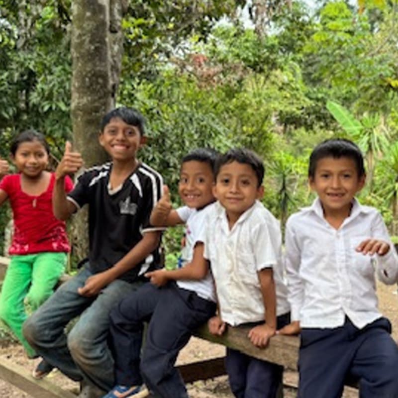 Five smiling children, some giving thumbs up, sit on a wooden bench in the foreground, with a lush green forest in the background.