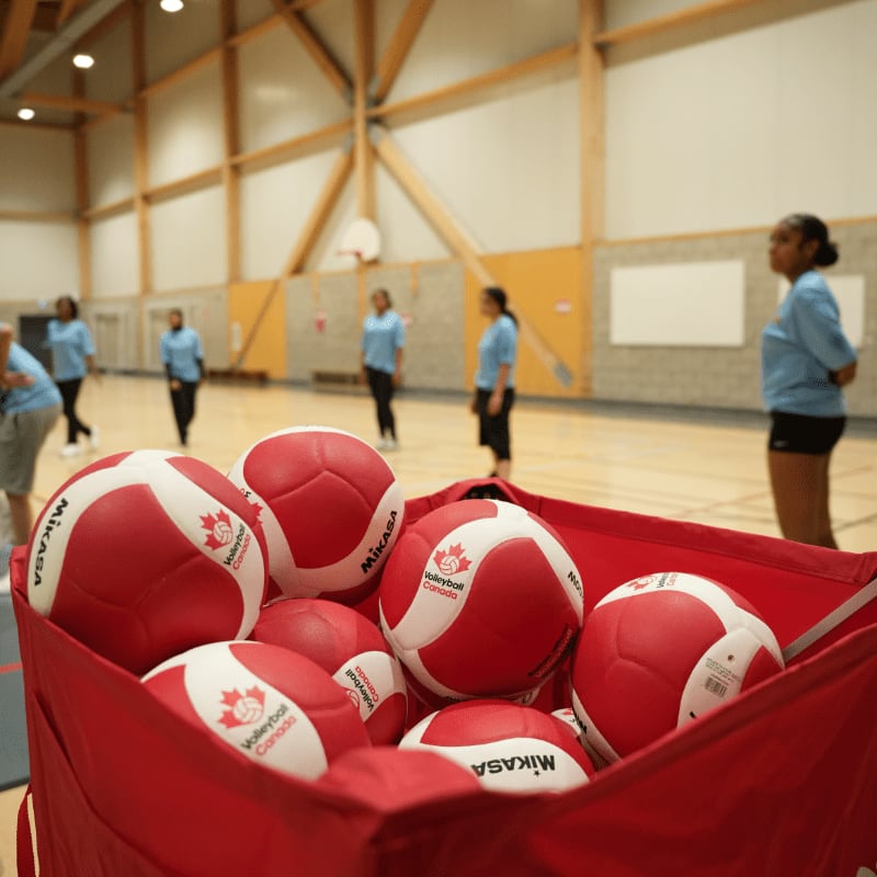 A red bin filled with volleyballs sits in the foreground of a gymnasium where several people in blue shirts are practicing.