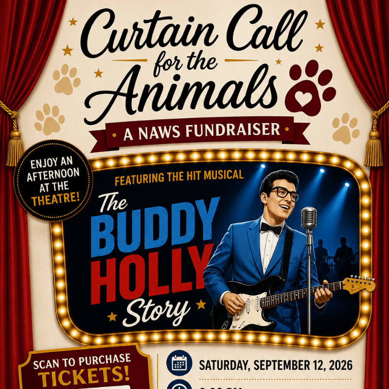 A vintage-style poster for "Curtain Call for the Animals," a NAWS fundraiser featuring "The Buddy Holly Story," displays Buddy Holly on stage in the foreground against a backdrop of red velvet curtains and paw print accents.