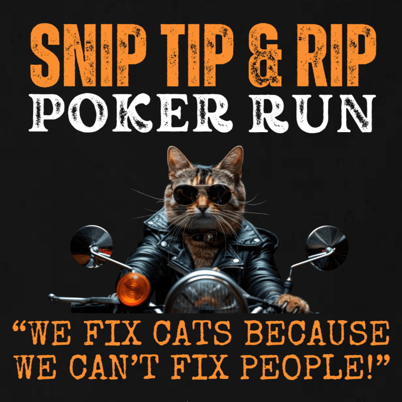 A cool cat wearing sunglasses and a leather jacket rides a motorcycle in the foreground, with the text "SNIP TIP & RIP POKER RUN" and a humorous quote about fixing cats above and below.