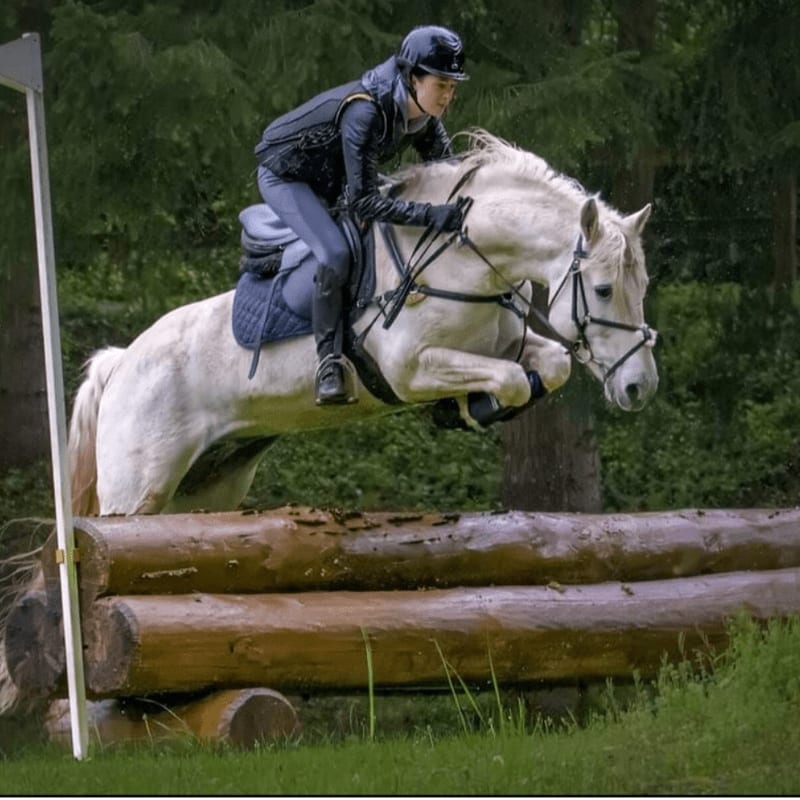 A rider on a white horse leaps over a wooden obstacle in the foreground, with a lush green forest in the background.