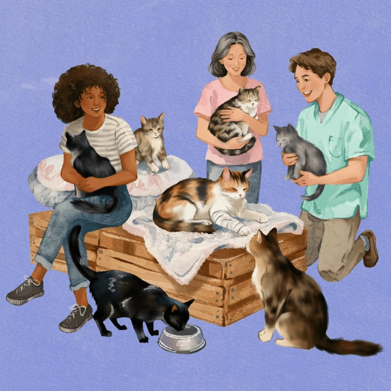 Three people interact with several cats on a wooden crate and floor, with a soft blue background.