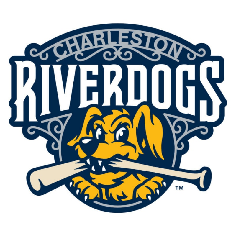 A cartoon dog with a baseball bat in its mouth is featured in the foreground, set against a dark blue background with the words "CHARLESTON RIVERDOGS" in white lettering.