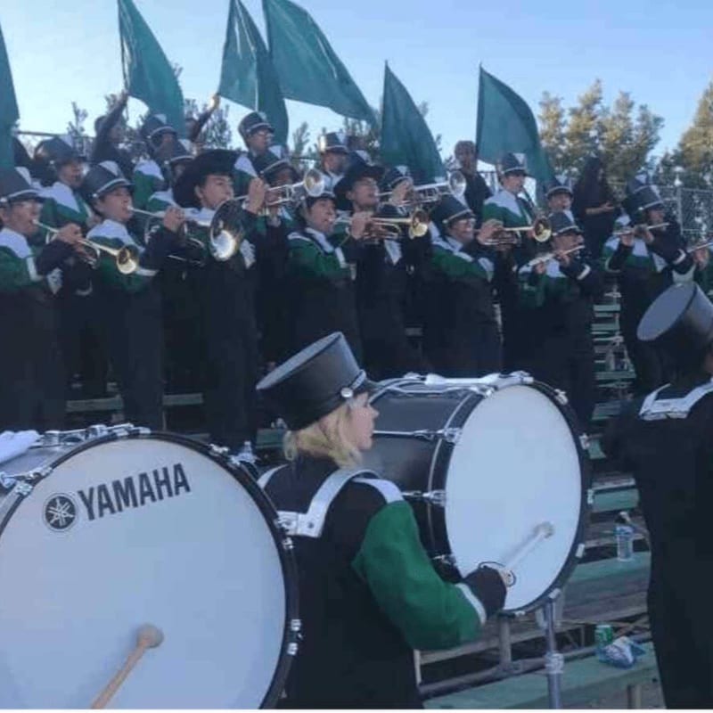 A marching band in green and black uniforms plays instruments in front of green flags and bleachers.