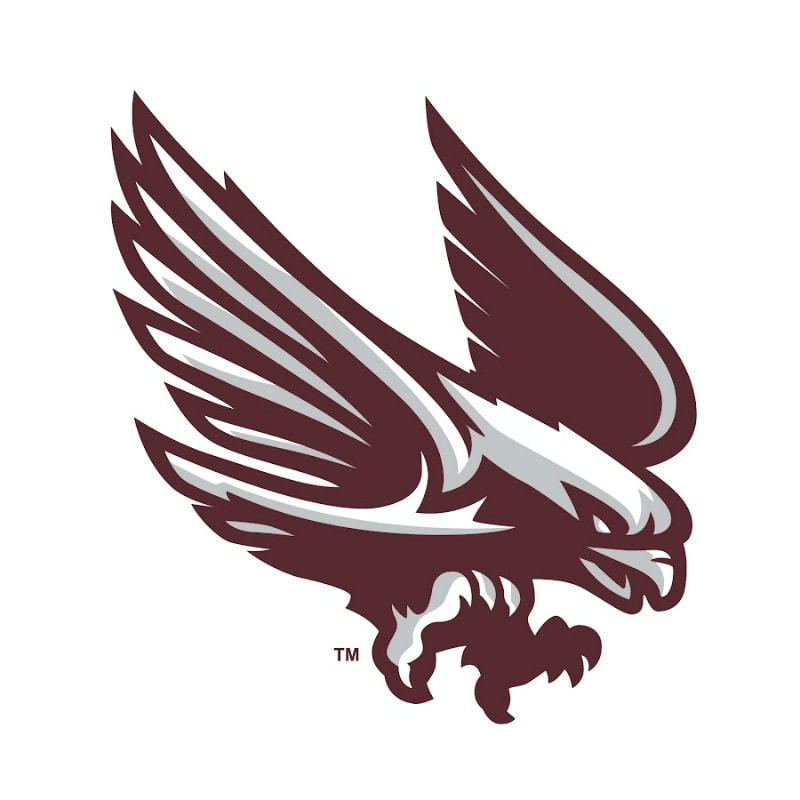 A maroon and white eagle with outstretched wings and talons is depicted against a plain white background.