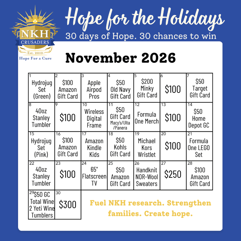 A November 2026 calendar with prizes for a holiday fundraiser is displayed against a dark blue background with a logo and text at the top and bottom.