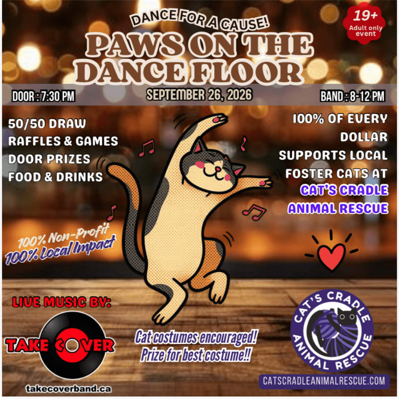 A cartoon cat dances in the foreground of a flyer for "Paws on the Dance Floor," a 19+ adult-only event on September 26, 2026, with a blurred background of bokeh lights.