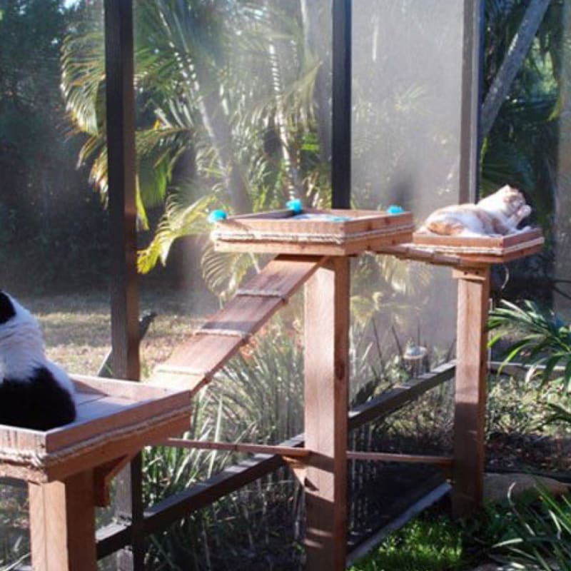 Two cats lounge on wooden platforms within an enclosed outdoor space, with lush green foliage visible in the background.