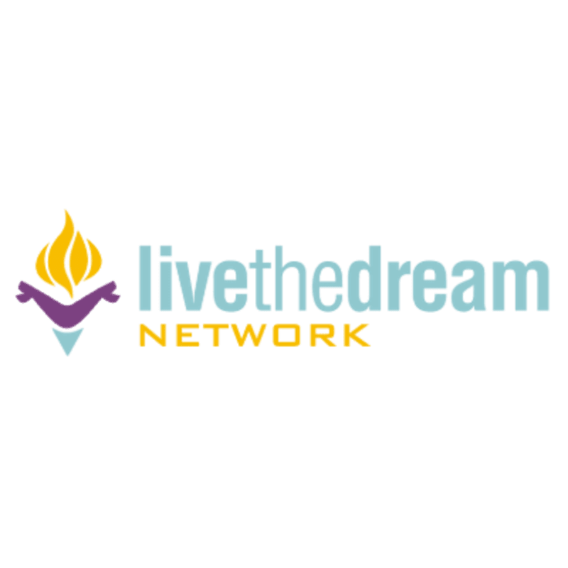A purple and yellow flame-like logo sits to the left of light blue and yellow text that reads "livethedream NETWORK" on a white background.