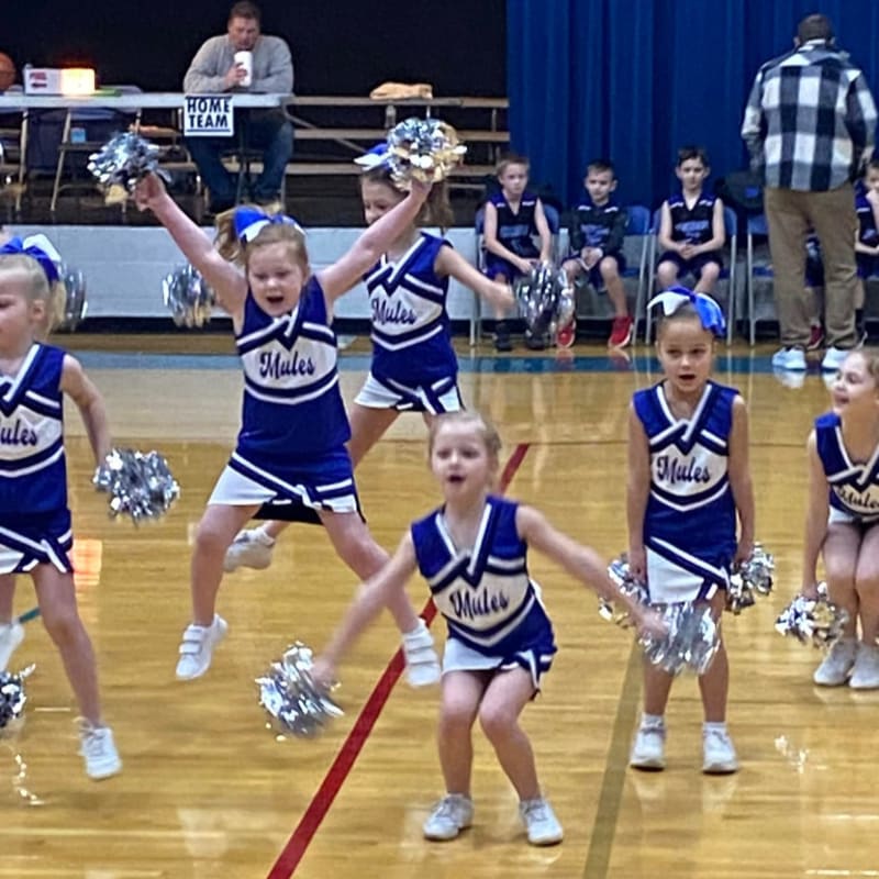 Young cheerleaders in blue and white uniforms with pom-poms perform on a wooden basketball court, while spectators watch from bleachers in the background.