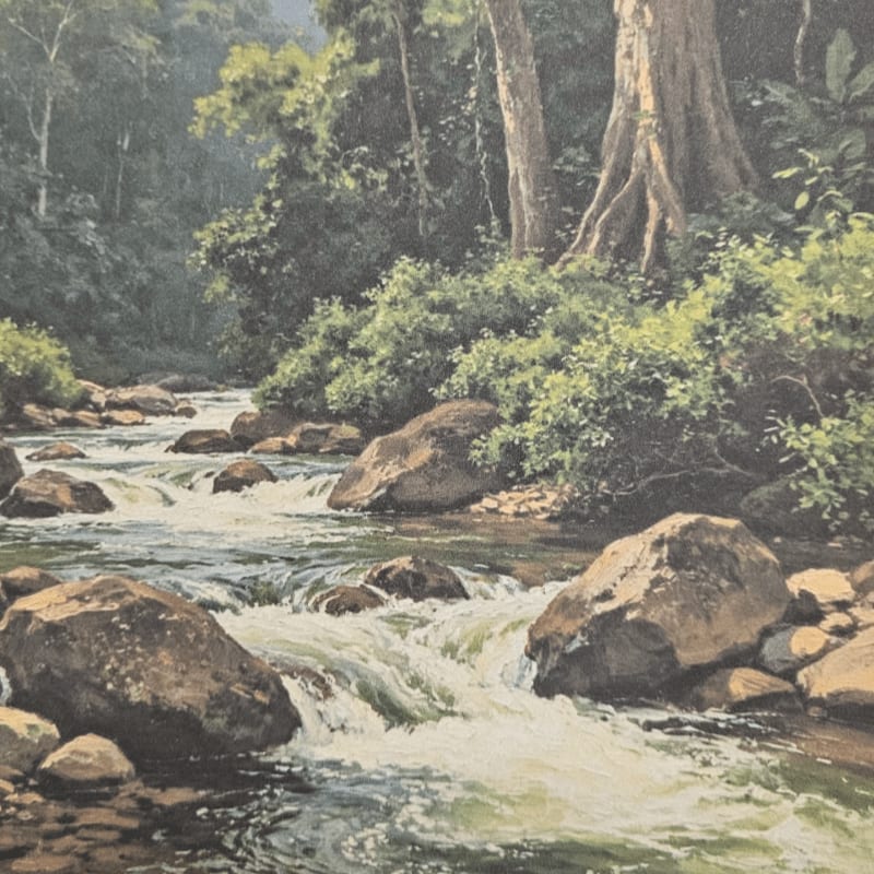 A rocky river flows through a lush forest with large trees in the background.