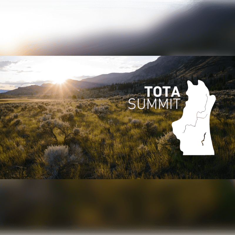 Golden sunlight streams over a vast, grassy plain dotted with sagebrush in the foreground, while distant mountains fade into a hazy sky in the background, with a white outline of a region and the words "TOTA SUMMIT" superimposed on the right side.