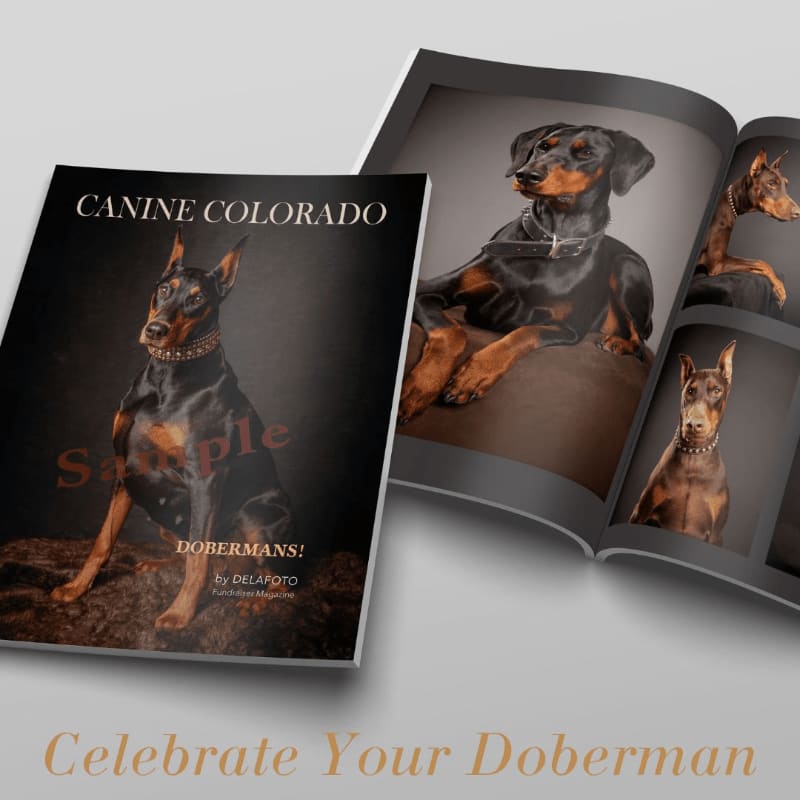A Doberman Pinscher is featured on the cover of a magazine titled "CANINE COLORADO" in the foreground, with an open magazine showcasing more Doberman portraits in the background.