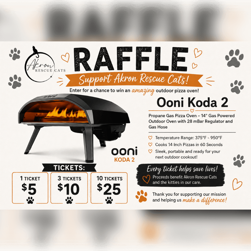 A raffle poster for Akron Rescue Cats features a pizza oven in the foreground and a blurred background with paw prints and hearts.