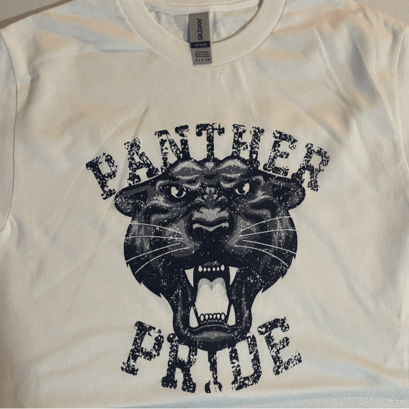 A white t-shirt with a distressed graphic of a snarling panther's head above the words "PANTHER PRIDE" is laid flat against a white background.