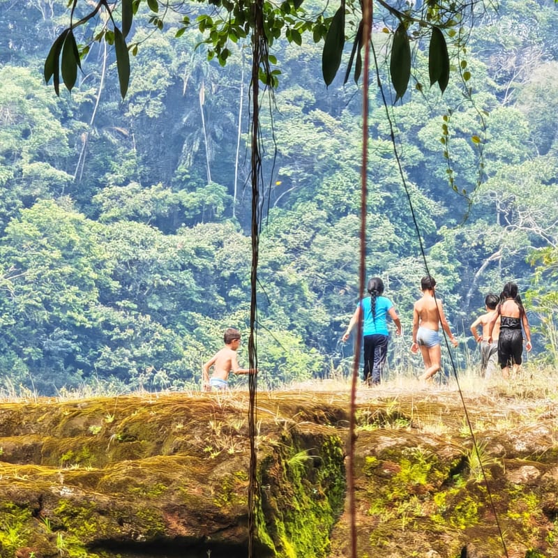 Children play on a mossy cliff edge in the foreground, with a lush, green jungle stretching out in the background.