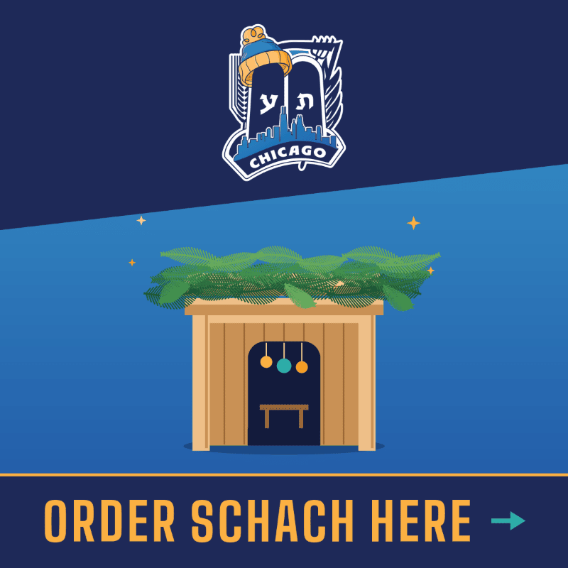 A wooden sukkah with a leafy roof stands in the foreground against a dark blue background with a Chicago-themed logo at the top and "ORDER SCHACH HERE" at the bottom.
