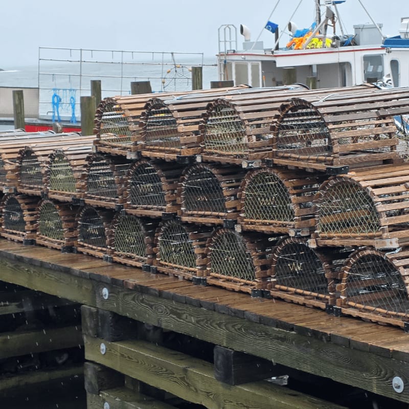 Wooden lobster traps are stacked on a wet dock in the foreground, with boats docked in the background.
