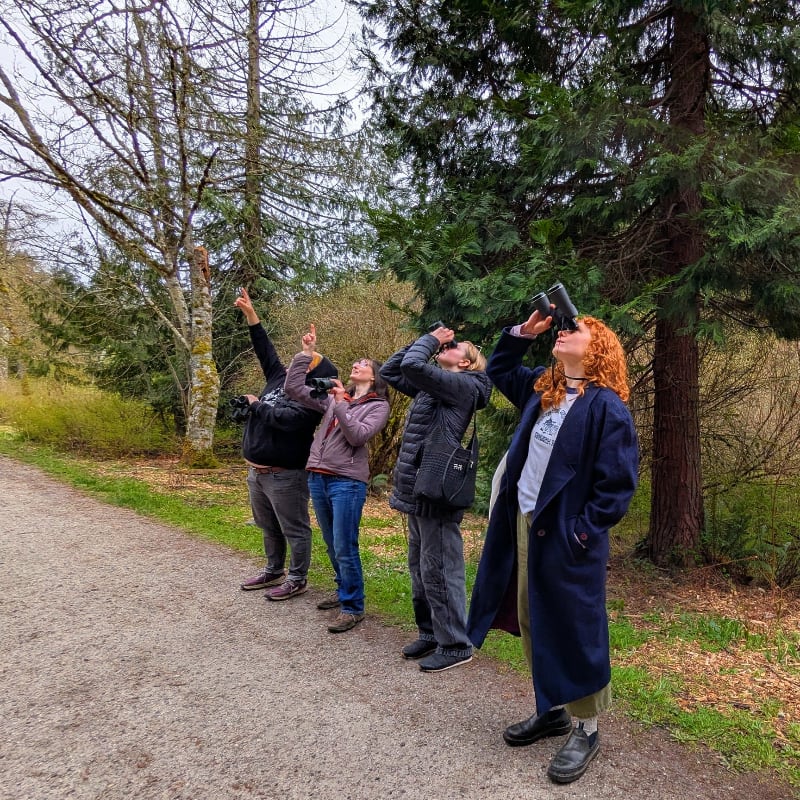 Four people stand on a gravel path in the foreground, looking up at the trees in the background.