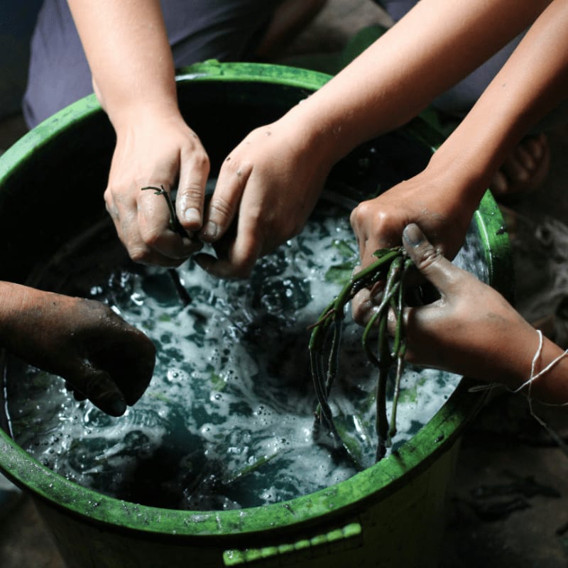 A group of people washing their hands in a bucket