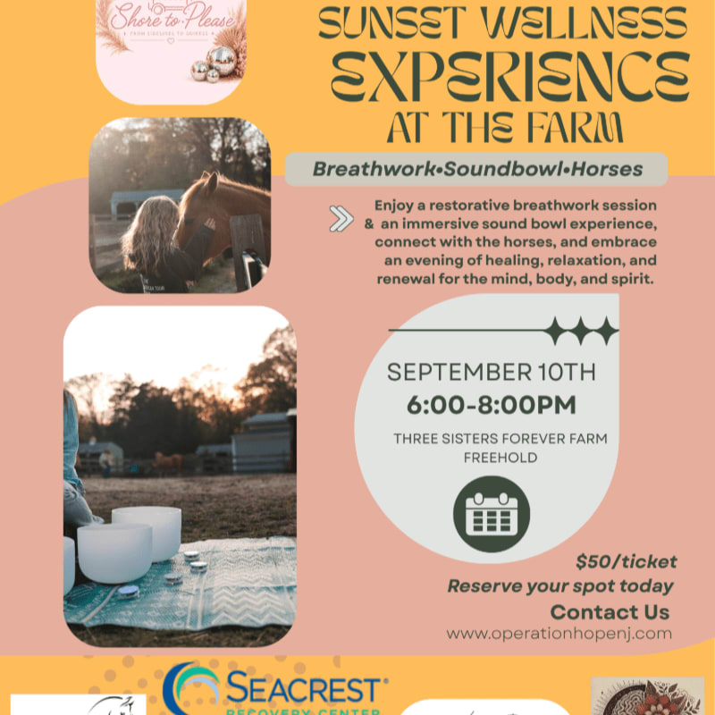 A serene farm setting with horses and sound bowls in the foreground is advertised for a sunset wellness experience in the background.