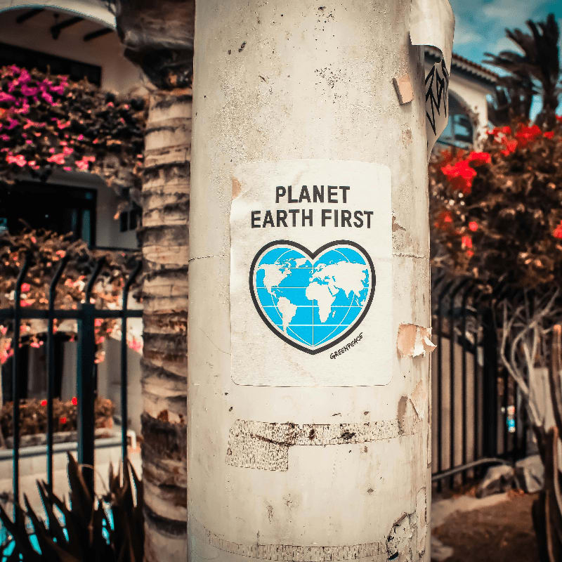 Planet Earth First signage sticked in gray post outdoors