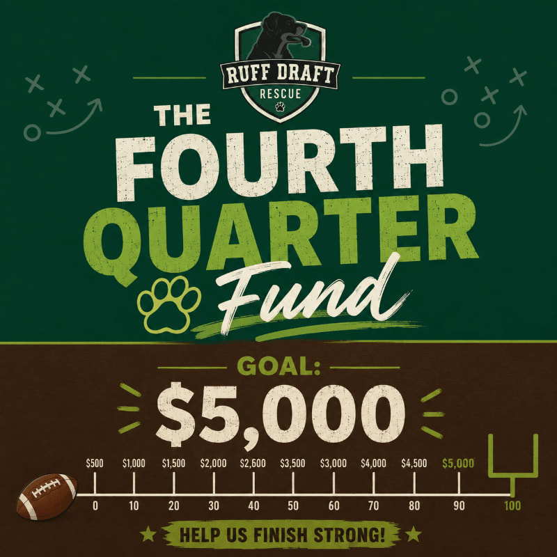 A football-themed graphic promotes "The Fourth Quarter Fund" for Ruff Draft Rescue, with a goal of $5,000 displayed on a fundraising thermometer in the foreground and a dark green background featuring football play diagrams.