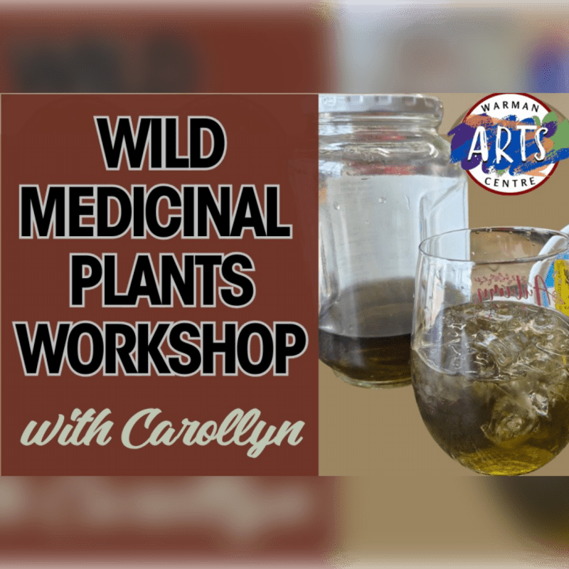 A glass of iced herbal tea sits in the foreground next to a jar of dark liquid, with a "Wild Medicinal Plants Workshop" advertisement and a colorful "Warman Arts Centre" logo in the background.
