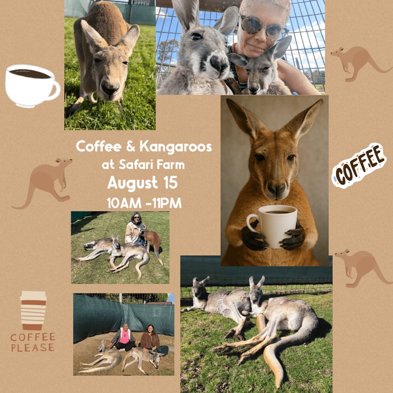Kangaroos are featured in various poses, some holding coffee cups, against a background of coffee-themed graphics and safari farm imagery.