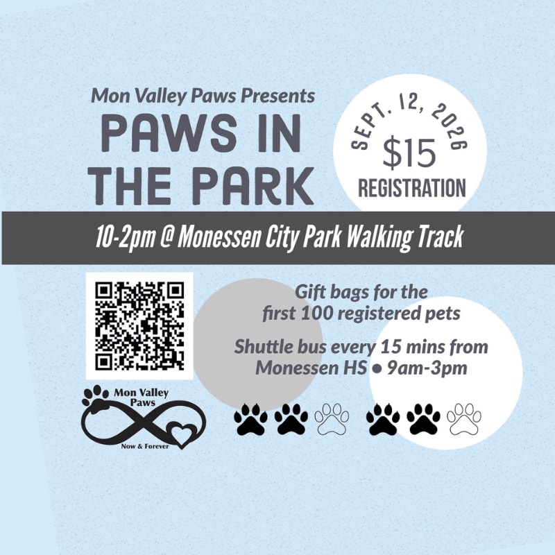 A light blue background with text announcing "PAWS IN THE PARK" and event details, including a QR code and paw print graphics in the foreground.