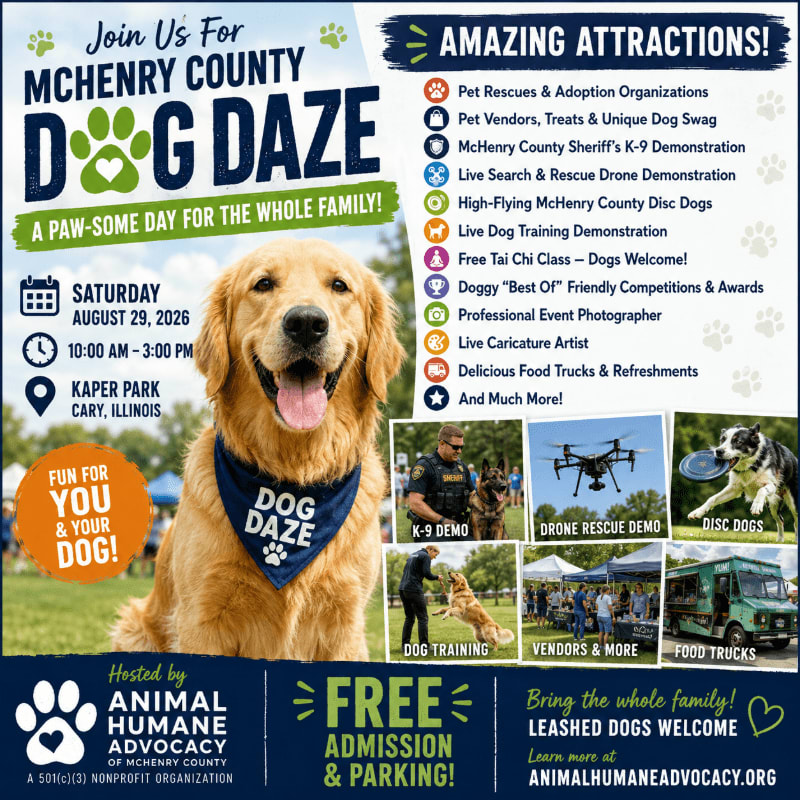 A golden retriever wearing a "Dog Daze" bandana is featured prominently in the foreground of a flyer advertising "McHenry County Dog Daze," an event with various attractions listed in the background.