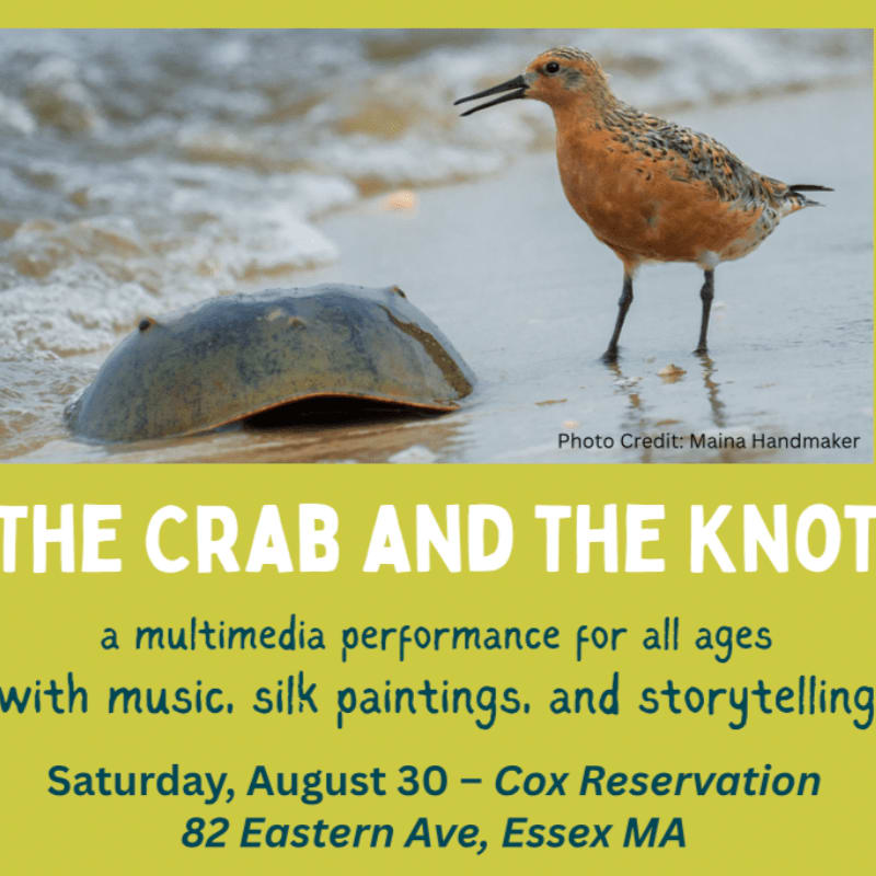 A horseshoe crab and a sandpiper stand on a wet sandy shore with gentle waves in the background, advertising a multimedia performance.