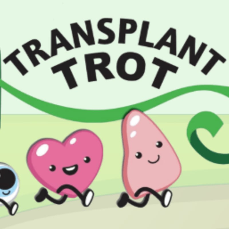 A cartoon heart, eye, and nose run in the foreground under the words "TRANSPLANT TROT" against a light green background with swirling green ribbons.