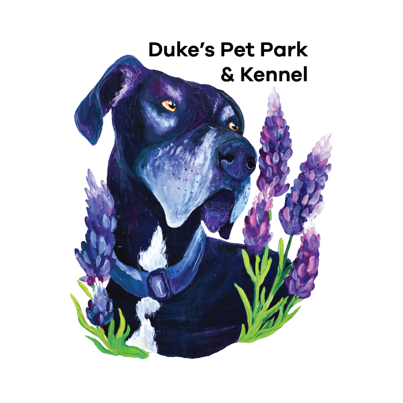 A dark-colored dog with a white chest and collar is depicted in the foreground, surrounded by purple lavender flowers and green leaves, with the text "Duke's Pet Park & Kennel" in the background.